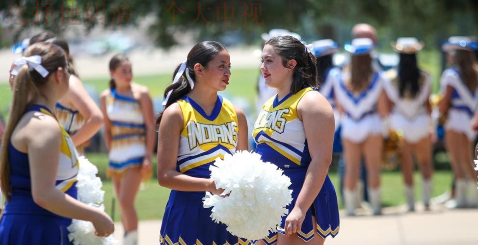 FB体育最新网站推荐与解析